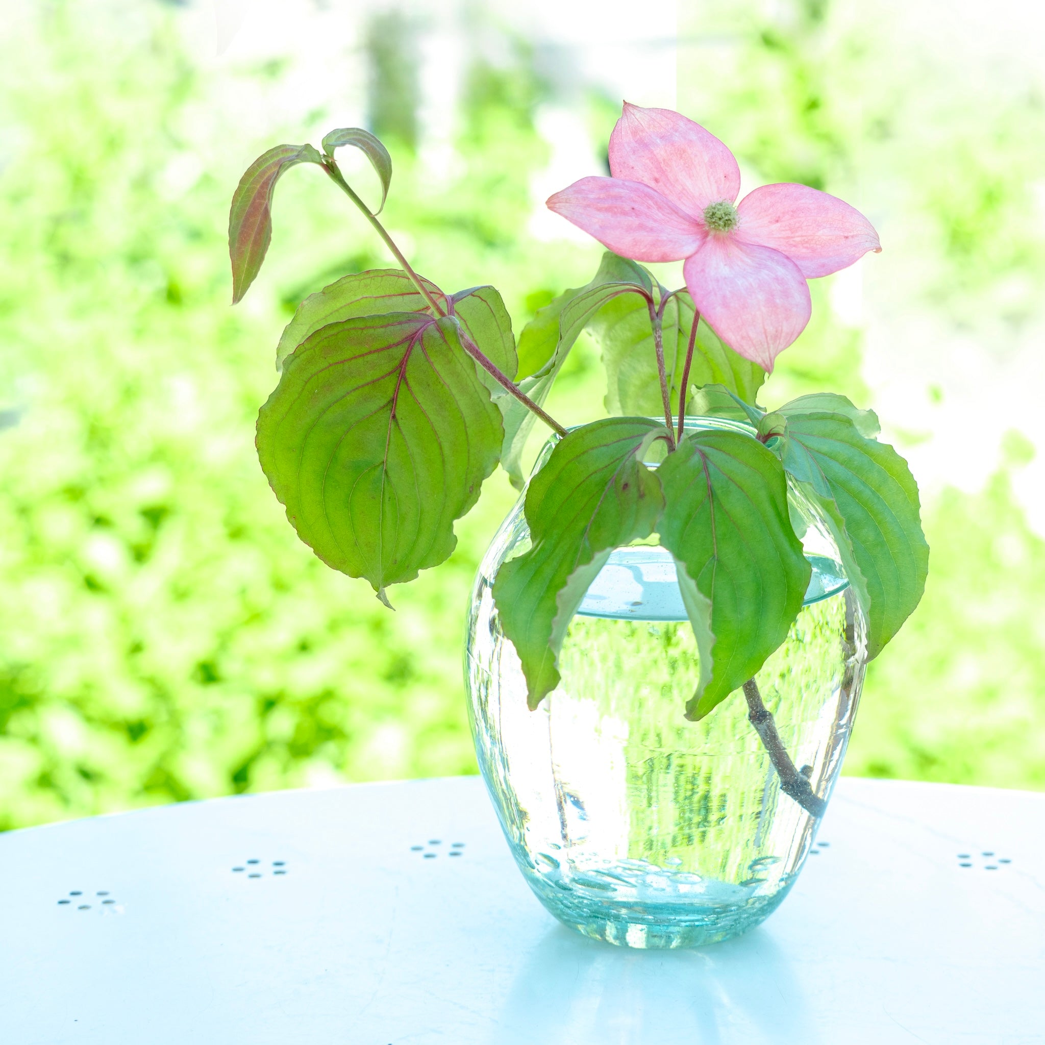 Biwako Green フラワーキャビン