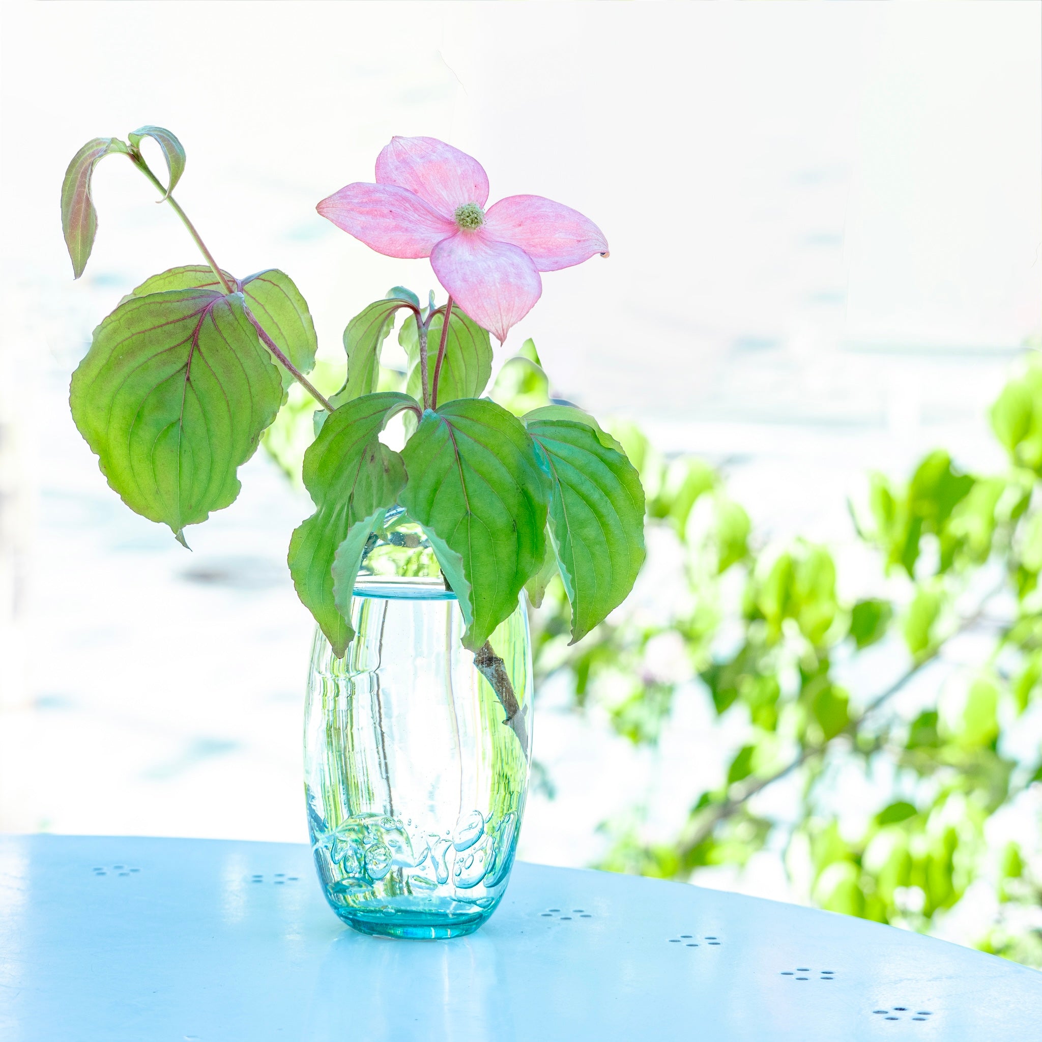 Biwako Green 一輪挿し